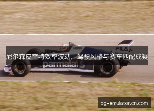 尼尔森皮奎特效率波动，驾驶风格与赛车匹配成疑