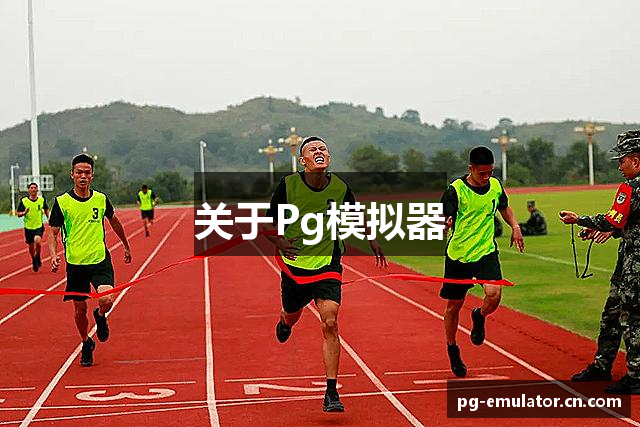关于Pg模拟器